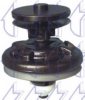  163541 Clip, trim/protective strip